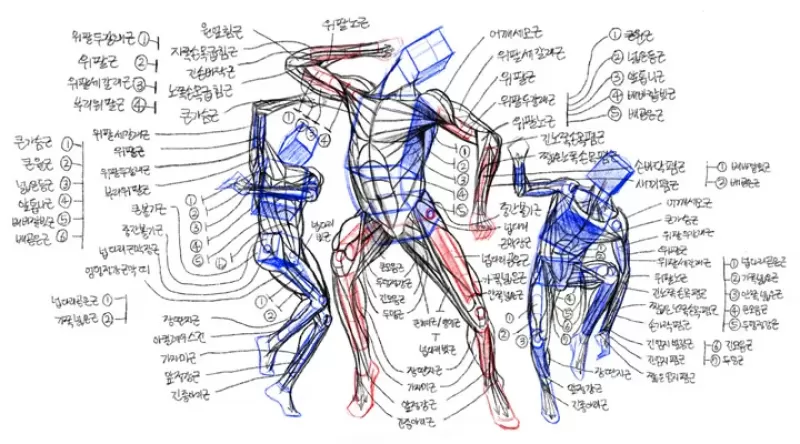 [11-1] 라오콘 군상 thumbnail