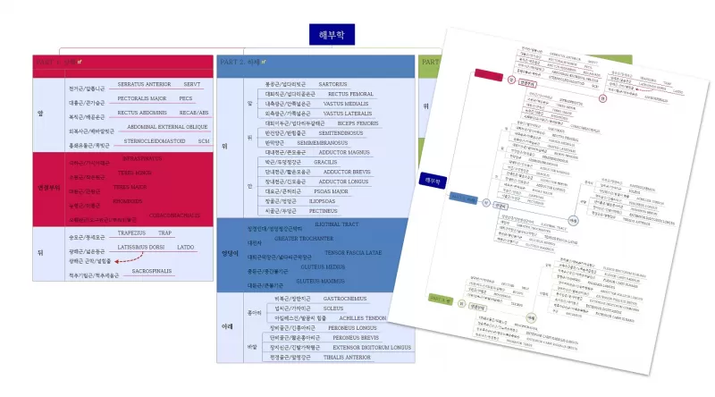 [2-1] 해부학 공부를 위한 자료 thumbnail