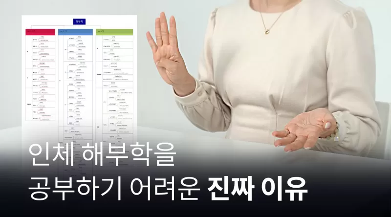 [1-2] 해부학의 진입 장벽이 높은 이유 thumbnail