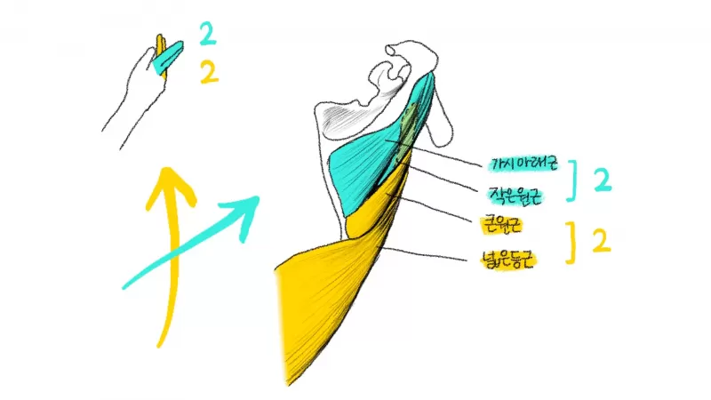 [7-1] 등과 어깨 연결부위 thumbnail