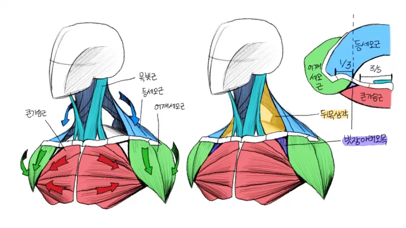 [7-2] 위팔 thumbnail
