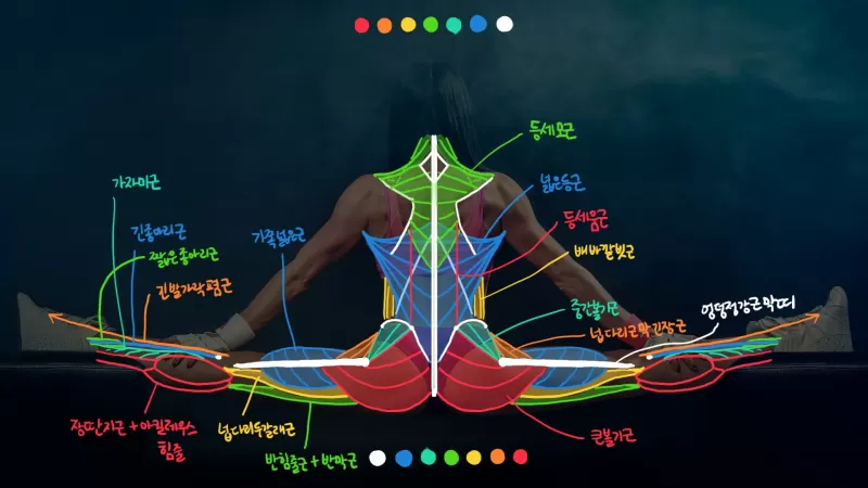 [6-5] 실제 사진으로 하는 포토스터디 thumbnail