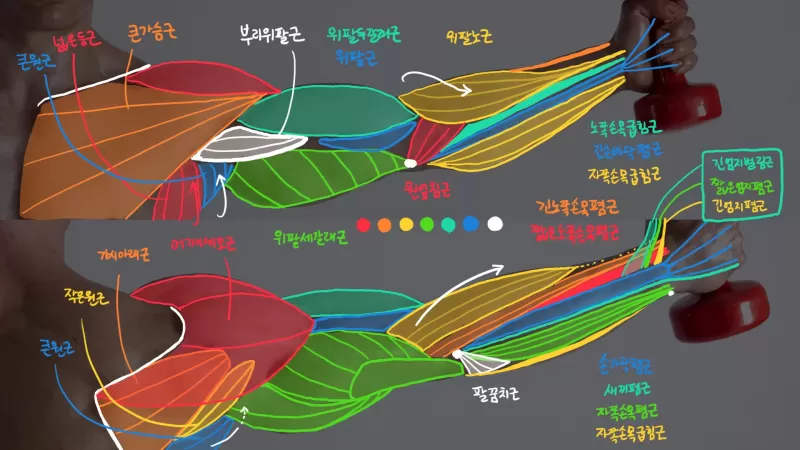 [8-6] 실제 사진으로 하는 포토스터디 thumbnail