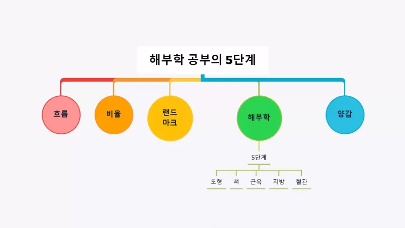 [3-3] 왜 해부학을 하면 인체가 딱딱해질까? thumbnail