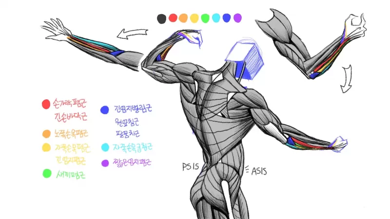 [8-7] 도형 해부학 thumbnail