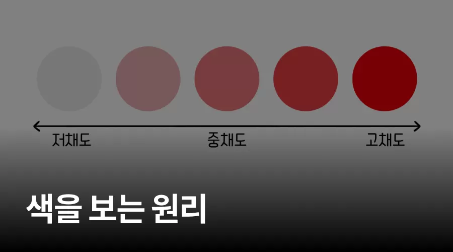 01. 색을 보는 원리 thumbnail