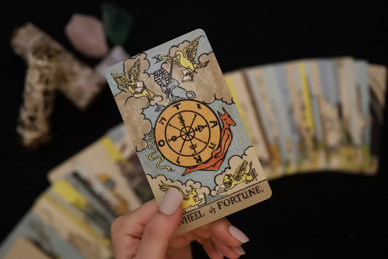  [1강] 강의 소개  thumbnail